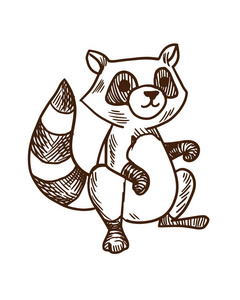 可爱的卡通动物概念。手绘条纹浣熊