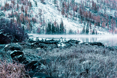 山湖的镜子表面。美丽的自然, 在阿尔泰共和国国家公园的山之旅。冬季多云天气