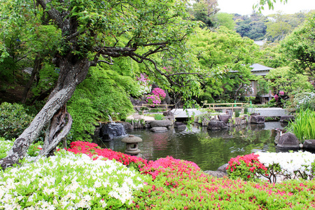 日本风格的公园