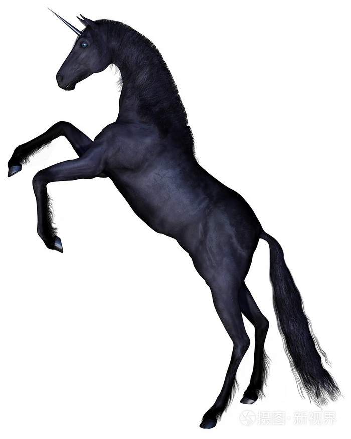 黑色独角兽-饲养