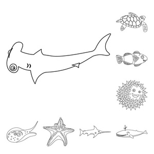 海洋和动物符号的孤立对象。海洋和海洋股票矢量图收集