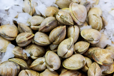 海鲜在冰上的鱼市场上新鲜的海水食品。海鲜