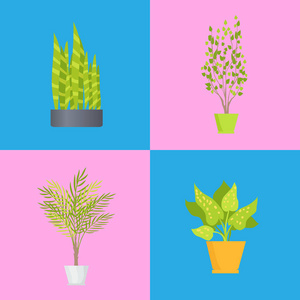室内装饰植物集矢量插画图片