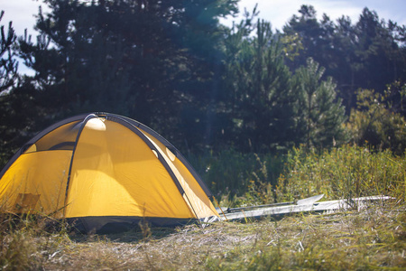 在森林的帐篷在阳光下, 黄色和绿色帐篷。皮划艇在夏天, 停车场的夜晚在树林中的帐篷
