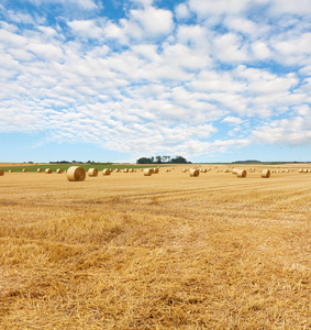 黄金稻草包干草在茬田, 夏季景观下的蓝天与云