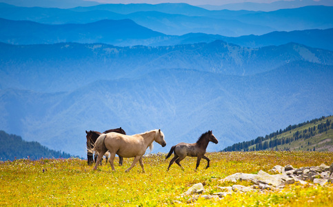 万里无云的夏季的一天图片