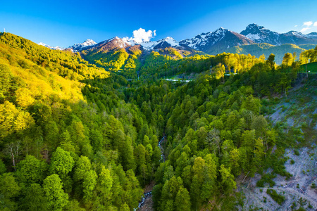 夏天春天森林山风景, 索契俄国