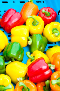 在蔬菜市场中，食物背景的黄色 红色和绿色辣椒