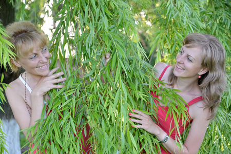 两名年轻妇女因柳树枝看起来