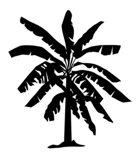 香蕉树的轮廓矢量新鲜绿色芭蕉叶香蕉树香蕉树矢量绿了芭蕉叶香蕉树的