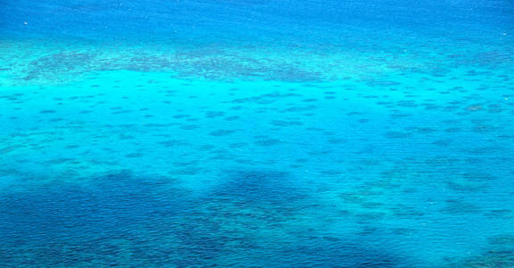 在澳大利亚 natuarl 公园的大礁从高概念的天堂