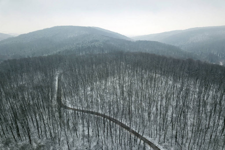 雪林与道路。鸟瞰图