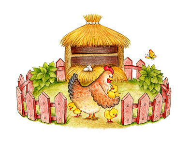 母鸡带小鸡图片