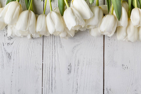 一堆白色的春天花郁金香