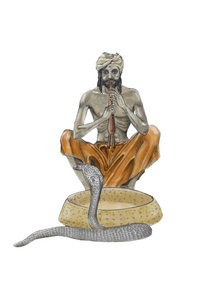 印度眼镜蛇图片