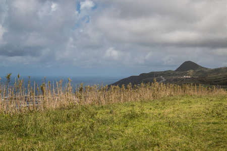 弹簧场由起重机在其边缘排列。悬崖和山的背景。大西洋地平线。多云的天空。葡萄牙, 亚速尔群岛北部