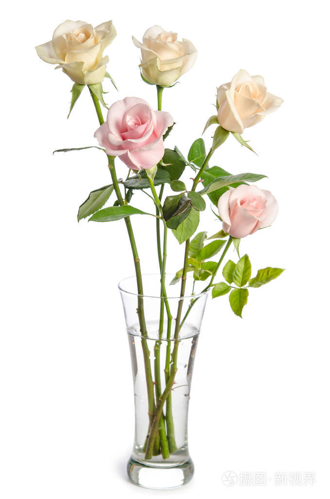 白玫瑰花玻璃花瓶