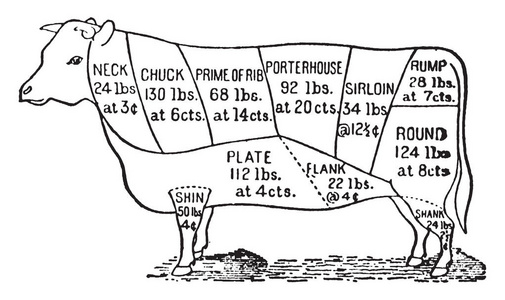这个插图代表不同的牛肉切割, 复古线条画或雕刻插图