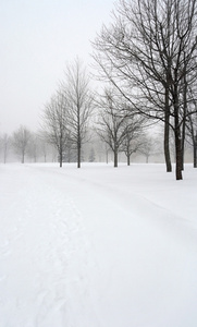 在冬季公园雪盖的巷