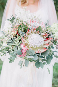 新娘手中的普罗蒂亚花肉质植物和桉树枝的美丽婚礼花束