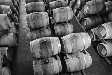意大利，西西里岛，古沙省木制酒桶在酒窖