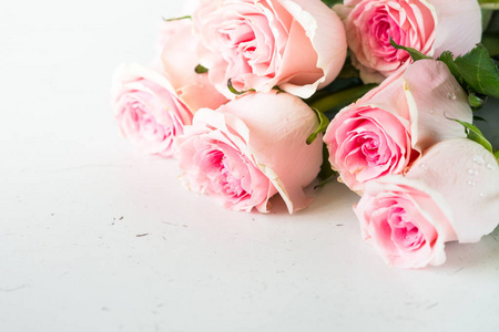 粉色的玫瑰，在白色的石头表