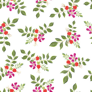Dogrose 浆果无缝图案。矢量背景野玫瑰果与绿叶设计标签糖浆, 茶叶包装或印花面料