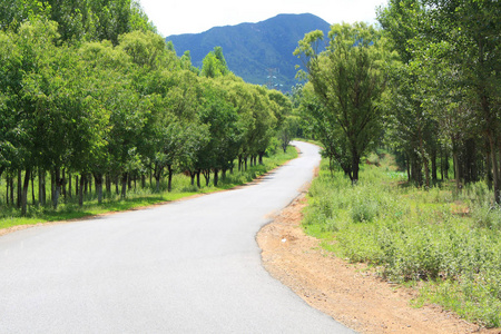 夏季农村沥青路面