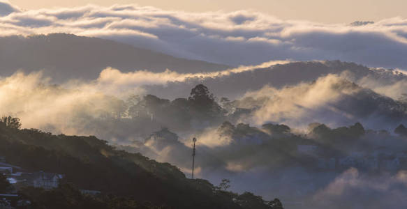 雾覆盖大叻高原土地, 越南, 背景与神奇的浓雾和太阳光线, 阳光在黎明