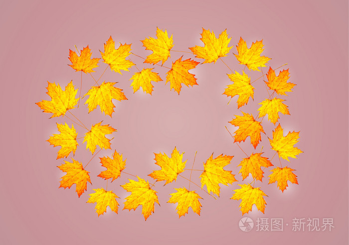 与枫叶秋背景插画 正版商用图片07m95i 摄图新视界 与枫叶秋背景插画 正版商用图片07m95i 摄图新视界