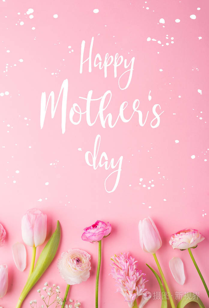 母亲节作文.文字和花朵.工作室拍摄