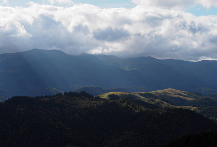 绿山村在绿色森林