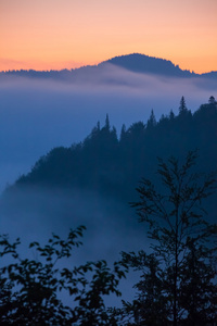 雾和云山山谷风景