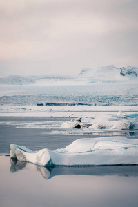 流行冰川泻湖的冬季风景视图与许多小冰山Jokulsarlon, 东部冰岛