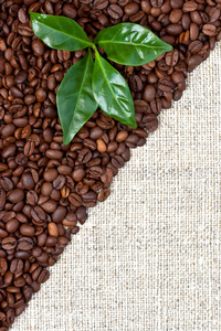 自然背景与咖啡豆