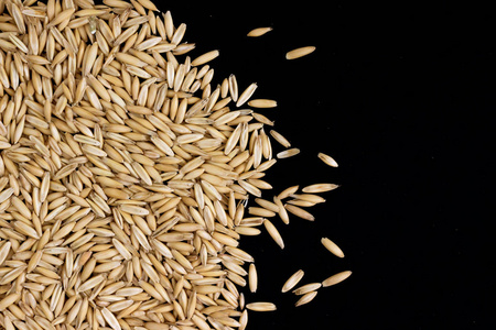 燕麦种子背景图片