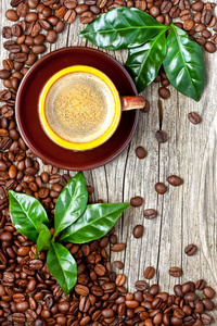杯咖啡, 咖啡豆和树叶