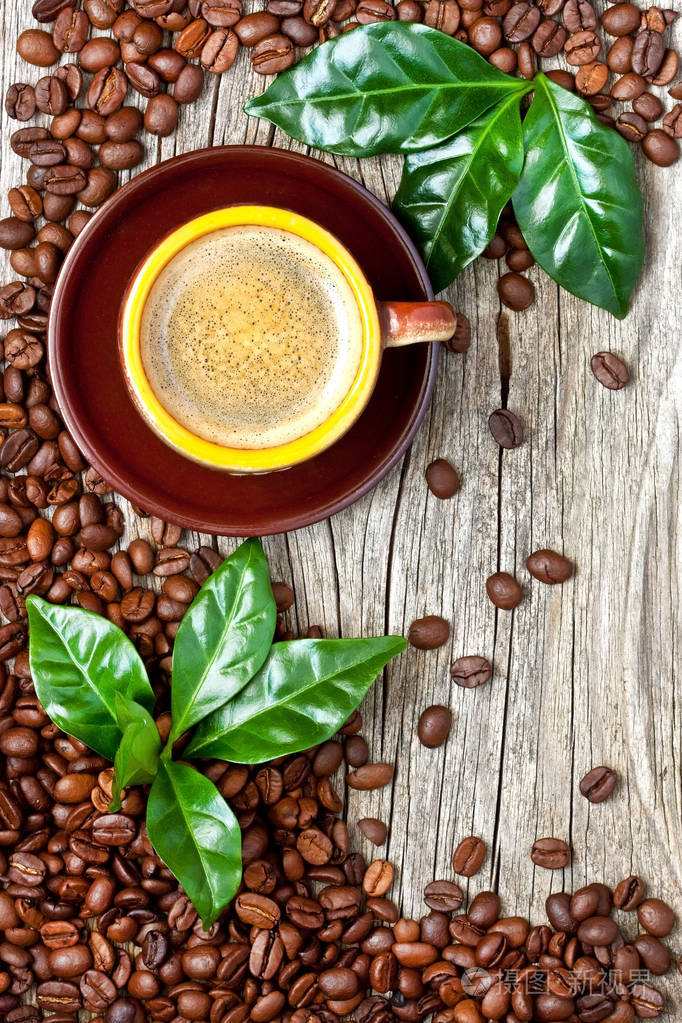 杯咖啡咖啡豆和树叶