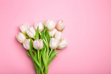 美丽的粉红色和白色的郁金香背景粉红色。泉流。St. 情人节礼物