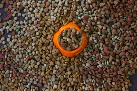 橙色的塑料碗里装满干宠物食品被干燥食品的猫和狗包围