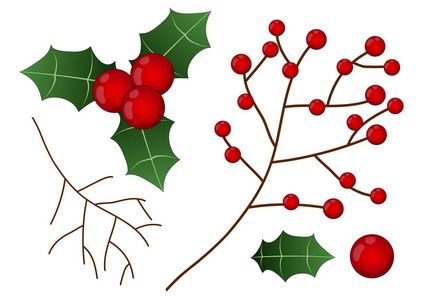 红色浆果与叶子和分支圣诞节查出的白色背景。向量例证