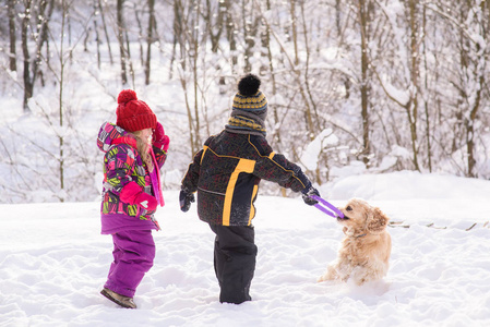 小孩子们在冬季森林里玩卡猎犬