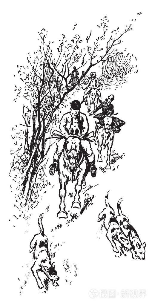 一群猎人正在猎杀狐狸老式的线条画或雕刻插图