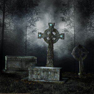 在森林中的坟墓照片