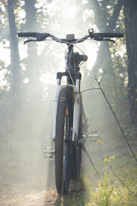 森林里的山地自行车被一缕仁兄的光芒所关闭