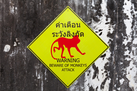 警告标志为提防的猴子攻击