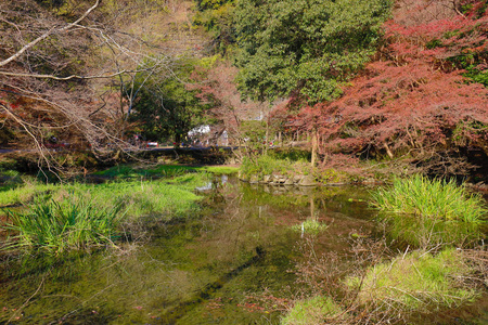 秋天 Kamitakano 东山的池塘