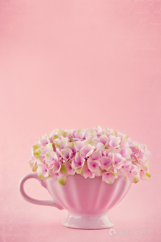 在一个破旧的别致杯中的绣球花