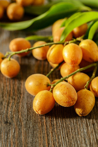 黄皮水果图片-黄皮水果素材-黄皮水果插画-摄图新视界