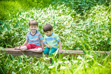 两个可爱的小男孩坐在一座小木桥